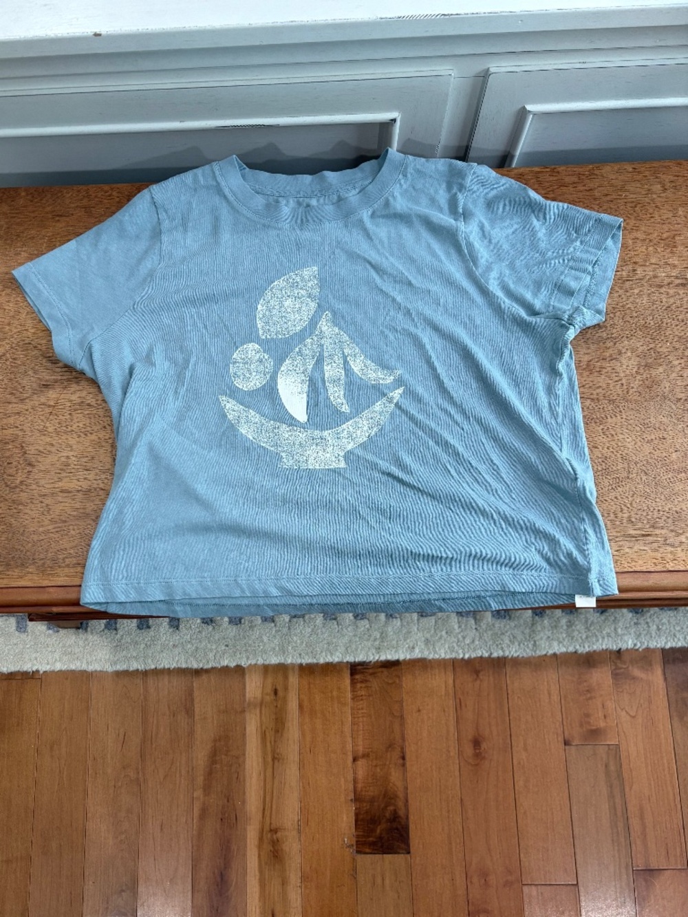 Fruit Bowl Graphic Softfade Cotton Boxy-Crop Tee